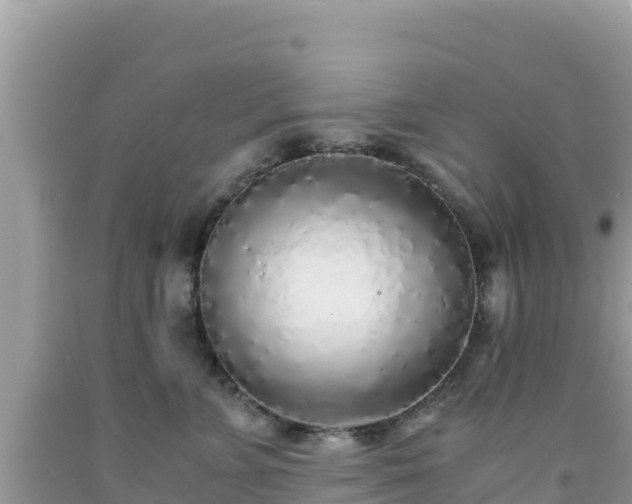 X0000092020715200709131556