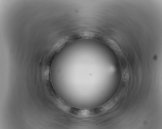 X0000092020717200709131556