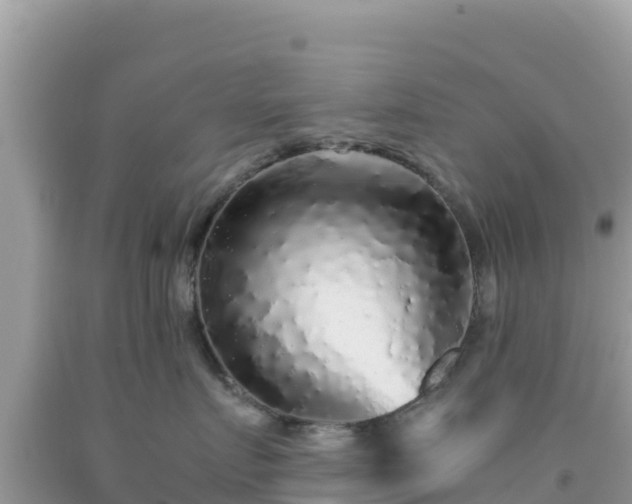 X0000092020719200709131556