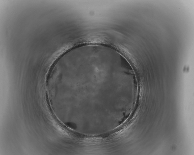 X0000092020721200709131556