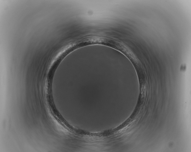 X0000092020722200709131556