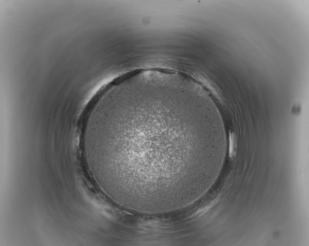 X0000092020723200709131556