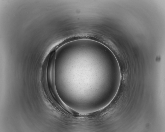 X0000092020724200709131556