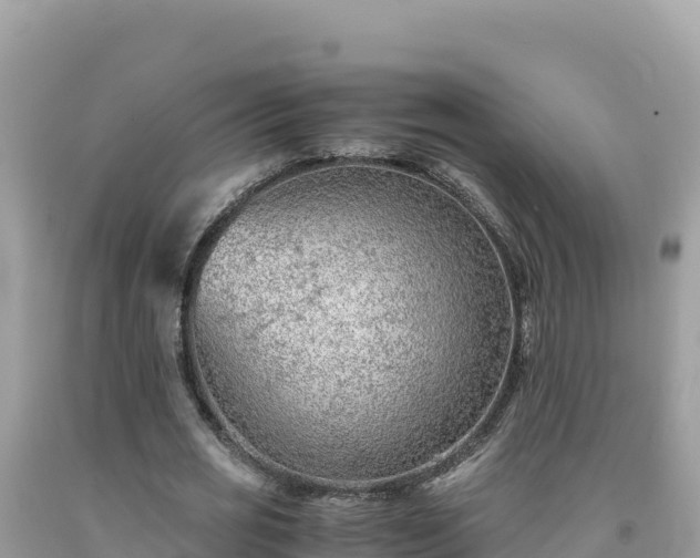 X0000092020725200709131556