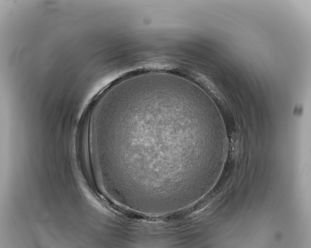 X0000092020726200709131556