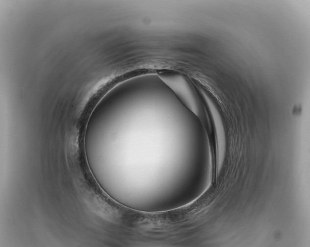 X0000092020727200709131556