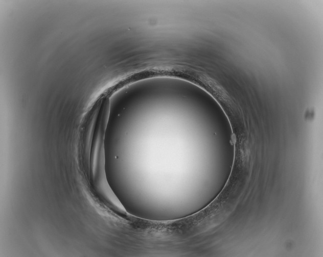 X0000092020728200709131556
