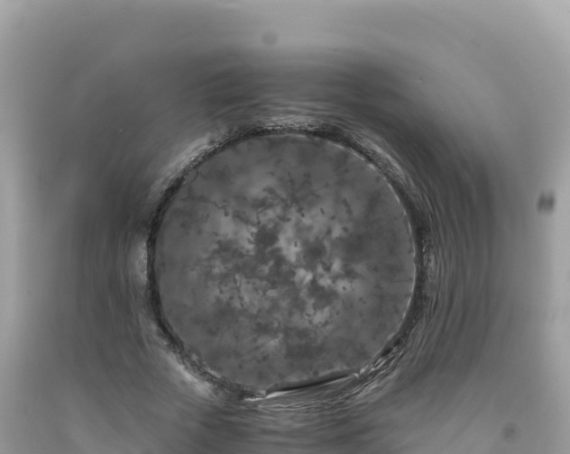 X0000092020729200709131556