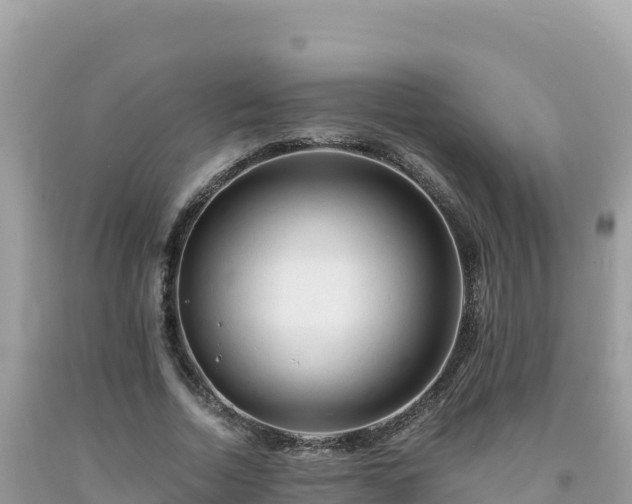 X0000092020730200709131556