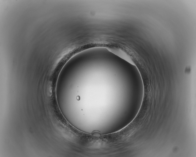 X0000092020731200709131556