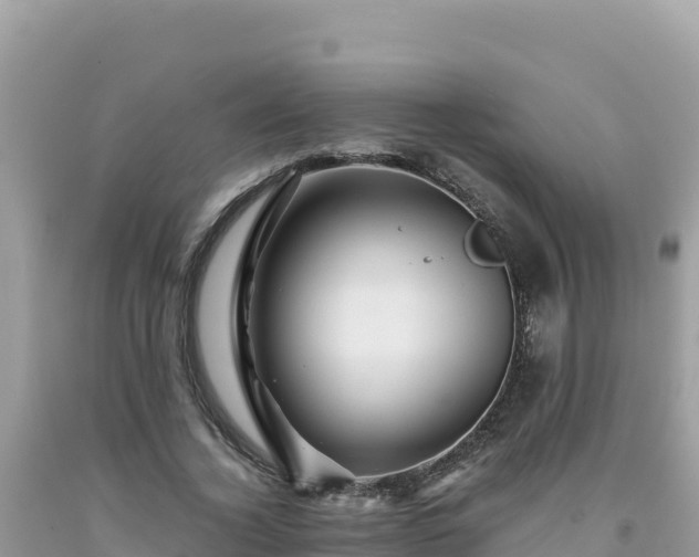 X0000092020732200709131556