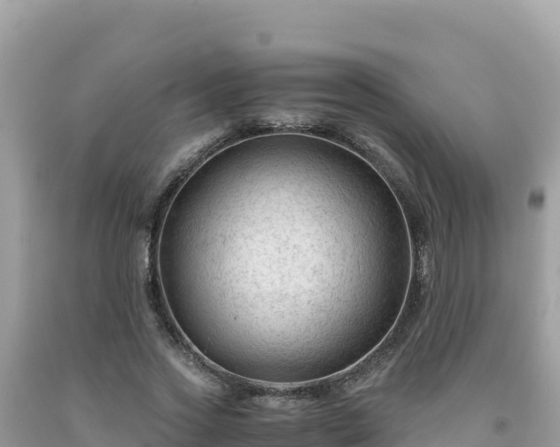 X0000092020733200709131556