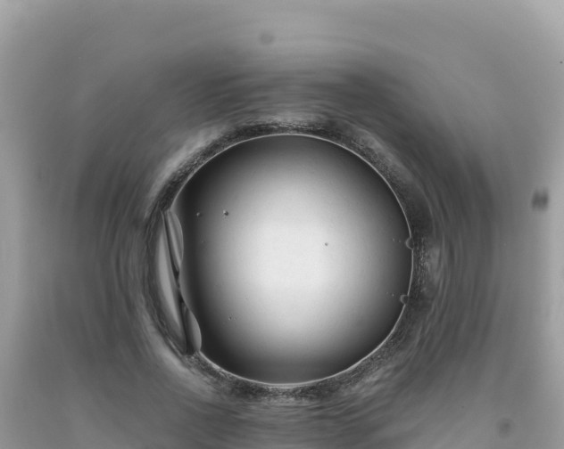X0000092020734200709131556