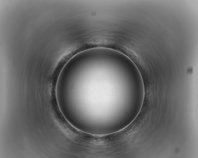 X0000092020735200709131556