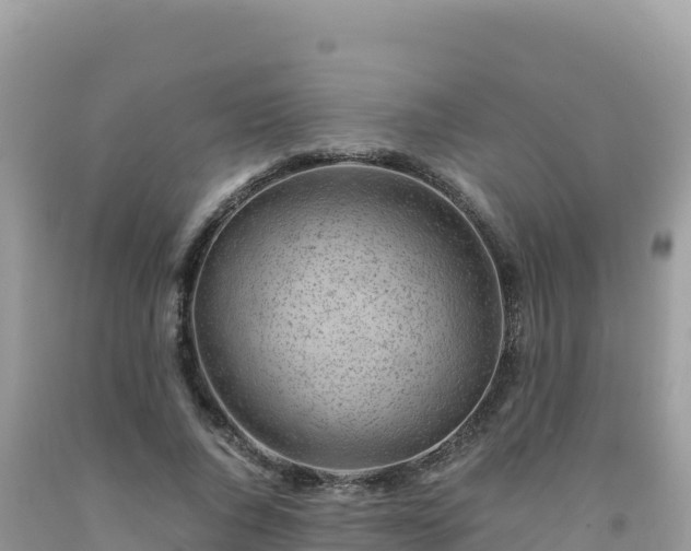 X0000092020736200709131556