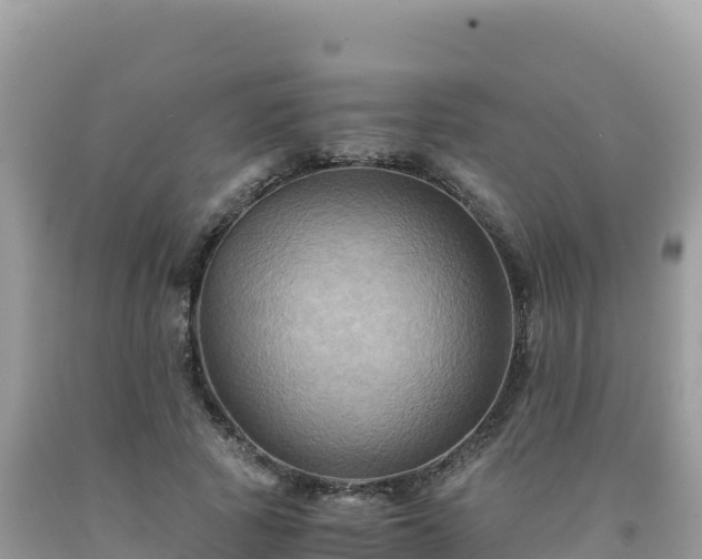 X0000092020737200709131556