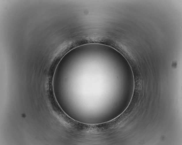X0000092020738200709131556