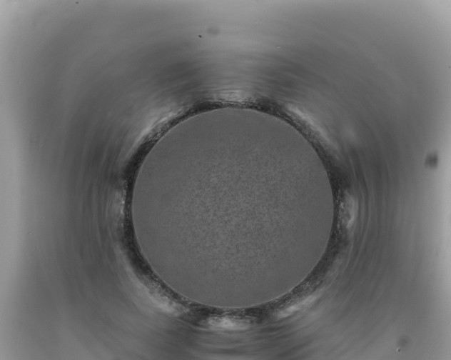 X0000092020739200709131556