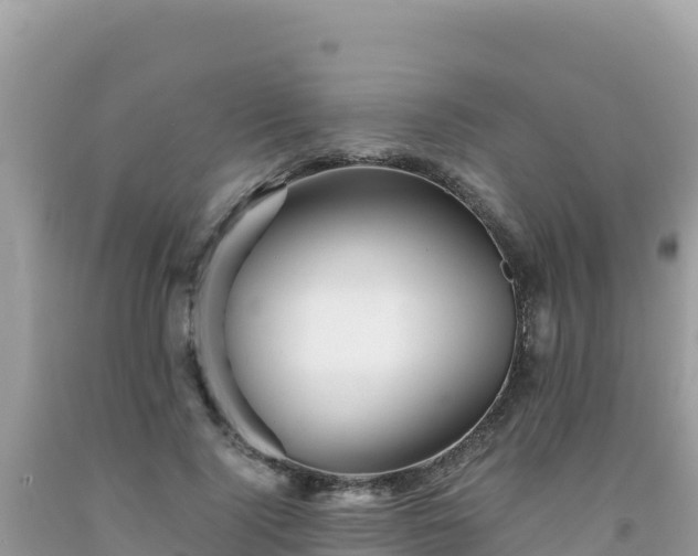 X0000092020740200709131556
