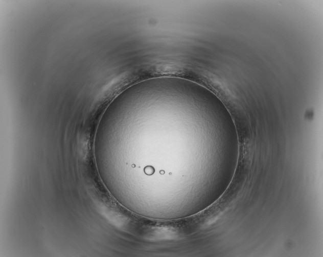 X0000092020741200709131556