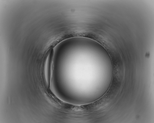 X0000092020742200709131556