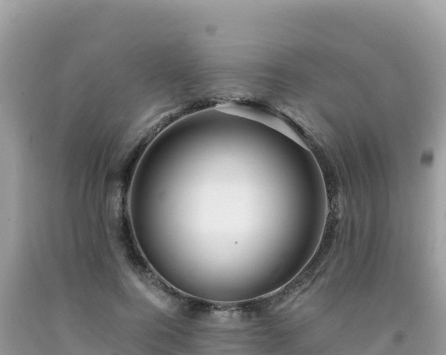 X0000092020744200709131556
