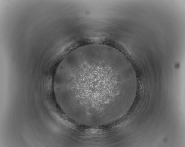 X0000092020745200709131556