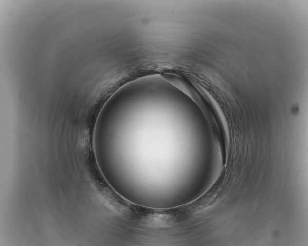 X0000092020748200709131556
