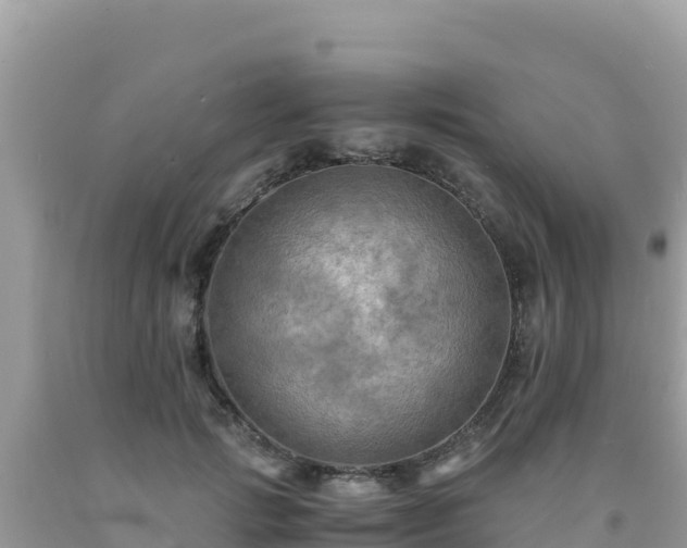 X0000092020749200709131556