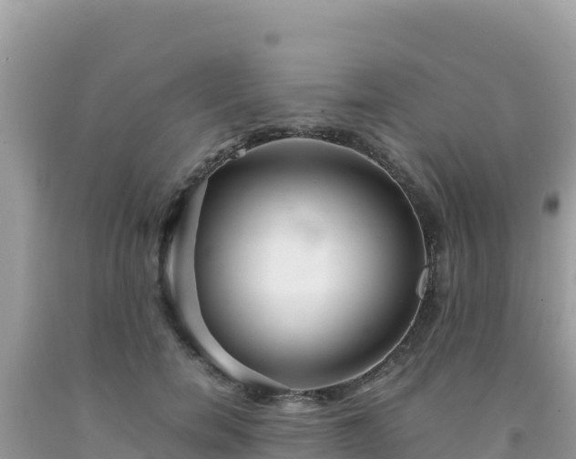X0000092020750200709131556
