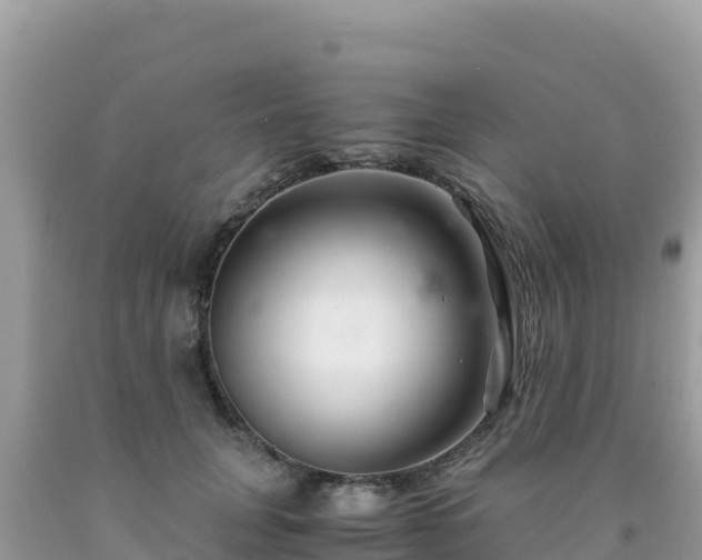 X0000092020751200709131556