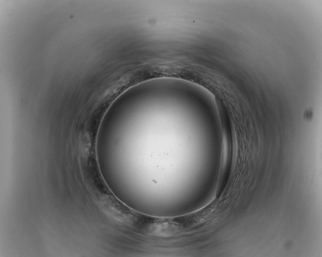 X0000092020752200709131556