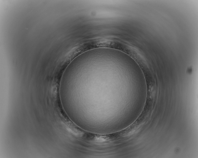 X0000092020753200709131556