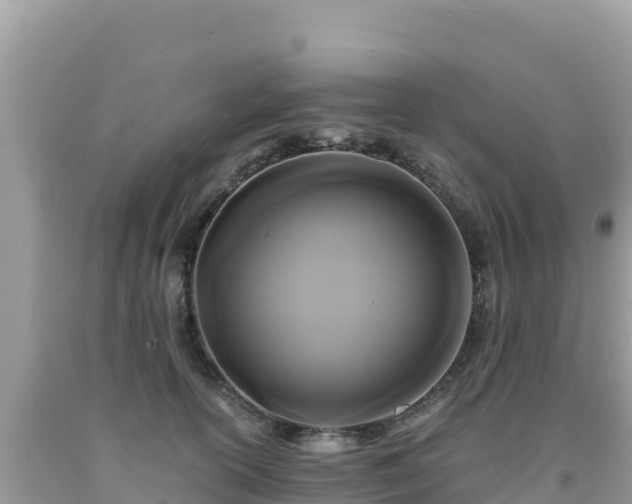 X0000092020754200709131556