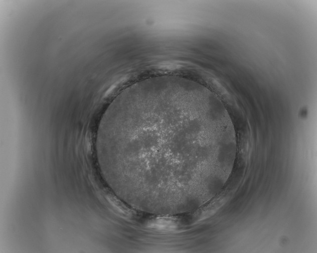 X0000092020758200709131556
