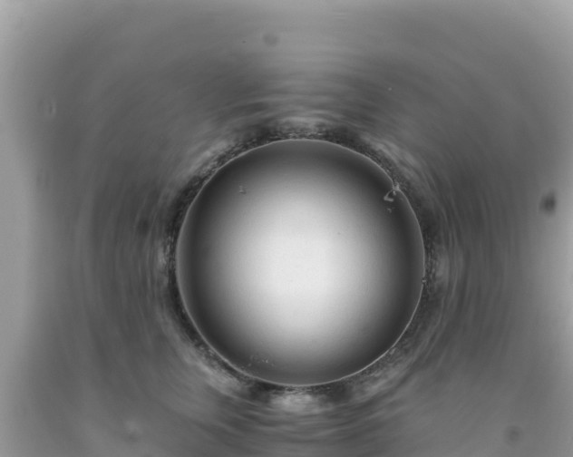 X0000092020759200709131556