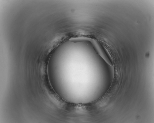 X0000092020760200709131556