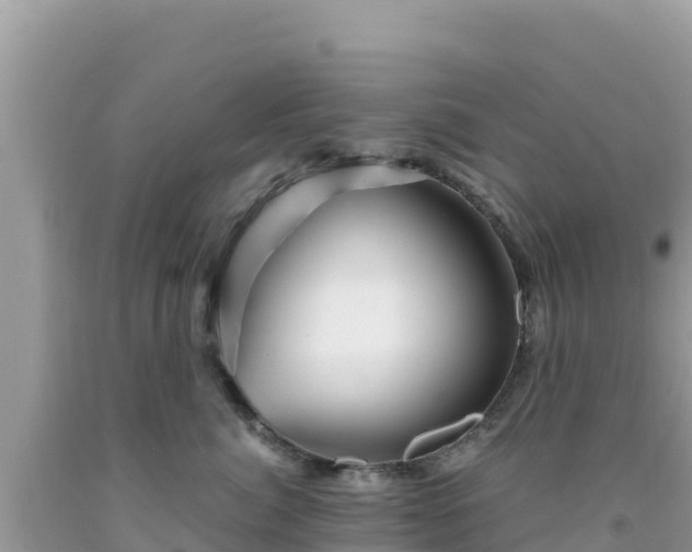 X0000092020764200709131556