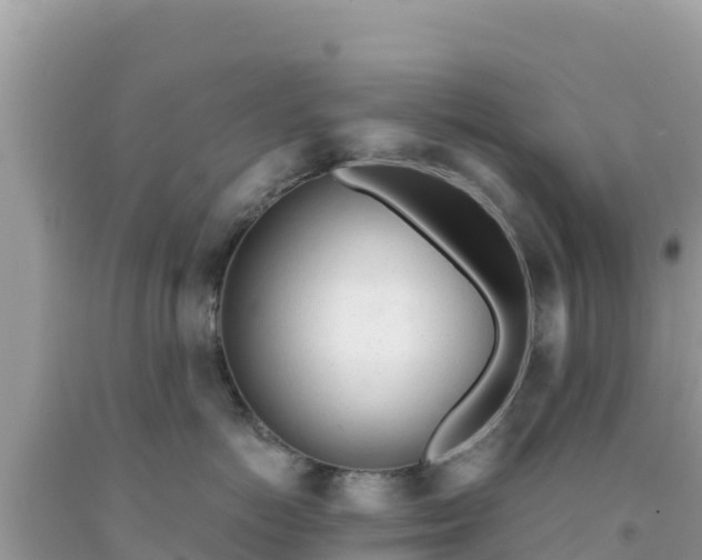 X0000092020766200709131556
