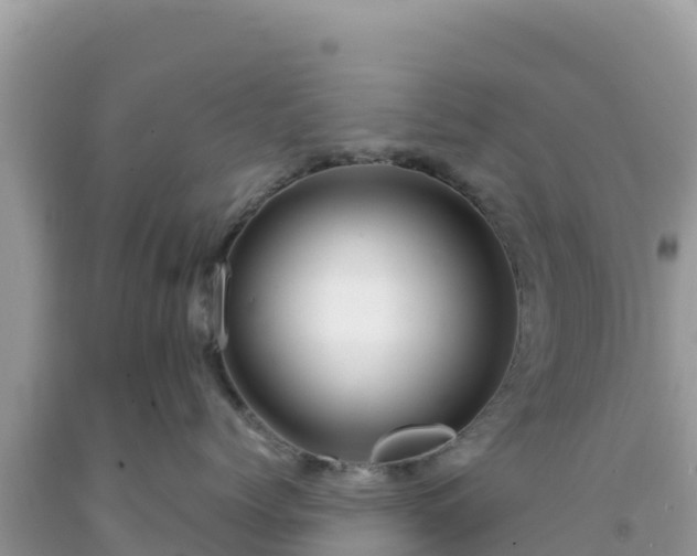 X0000092020768200709131556