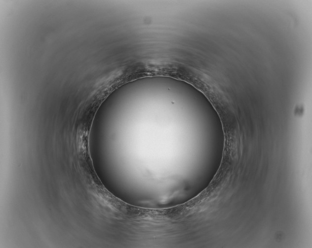 X0000092020770200709131556