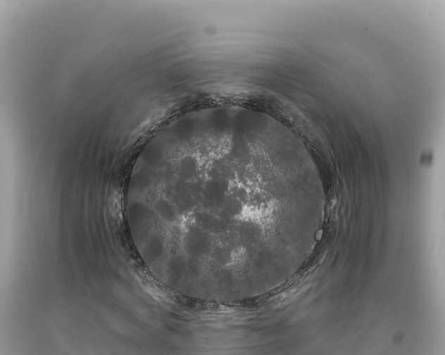 X0000092020772200709131556