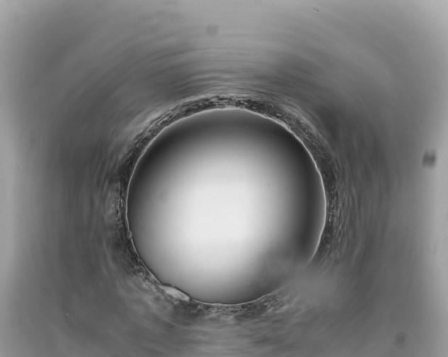 X0000092020773200709131556