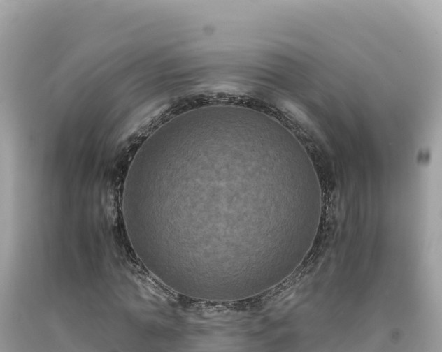 X0000092020774200709131555