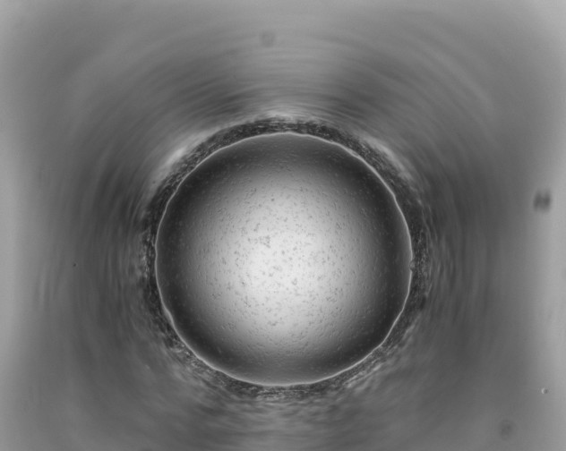 X0000092020776200709131555
