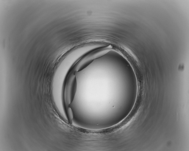 X0000092020777200709131555
