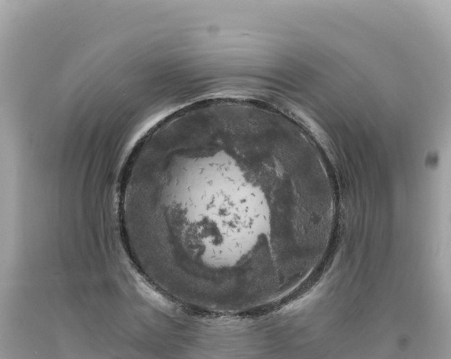 X0000092020779200709131555