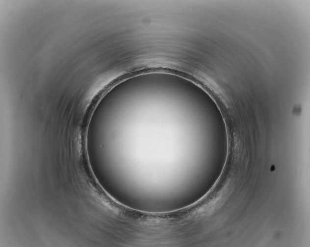 X0000092020782200709131555