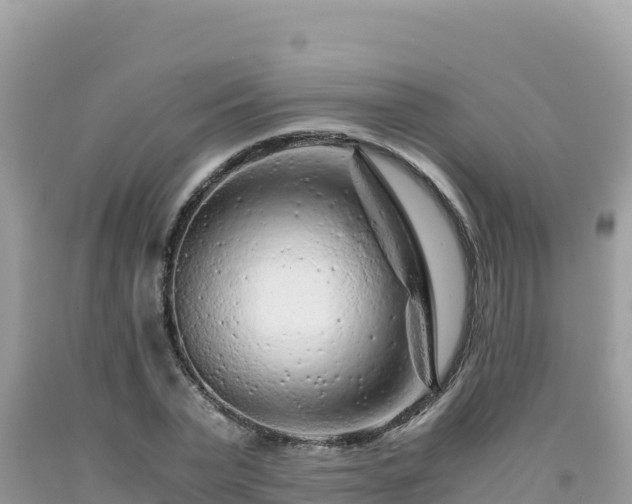 X0000092020783200709131555