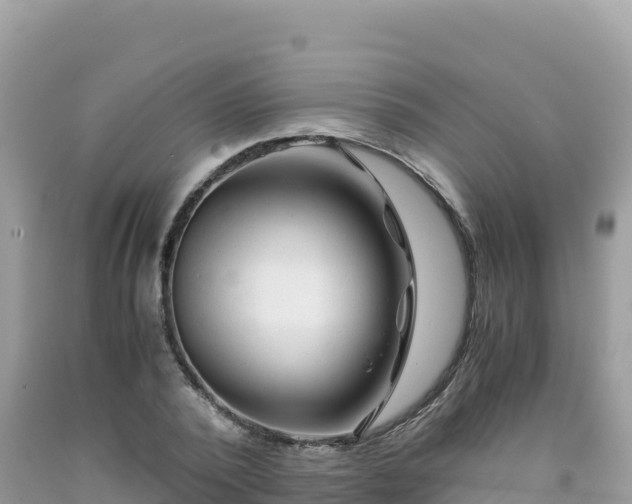 X0000092020784200709131555